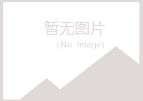 河池夏岚演艺有限公司